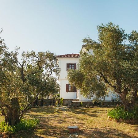 Βίλλα Φανούλα Villa Fanoula 寇特 外观 照片