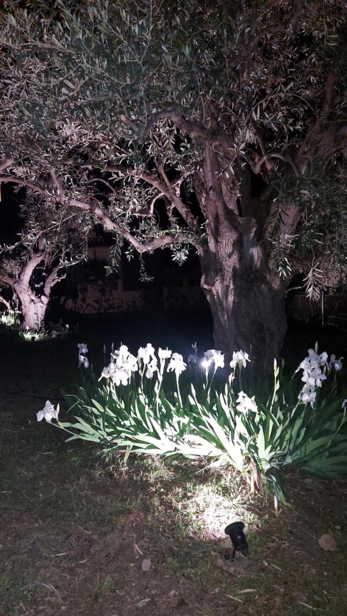 Βίλλα Φανούλα Villa Fanoula 寇特 外观 照片